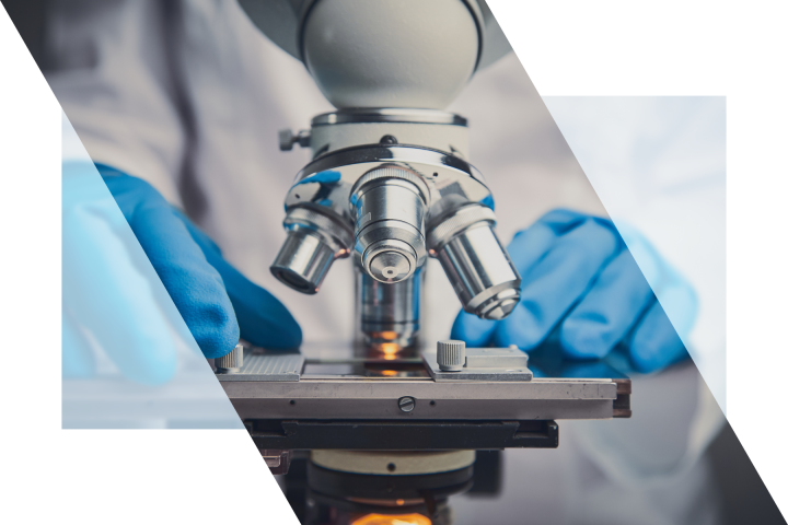 Intellectual Property & Innovation